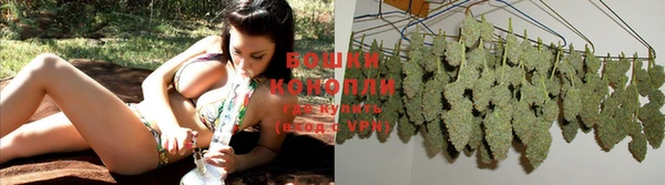 ПСИЛОЦИБИНОВЫЕ ГРИБЫ Балахна