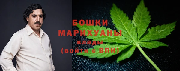 ПСИЛОЦИБИНОВЫЕ ГРИБЫ Балахна